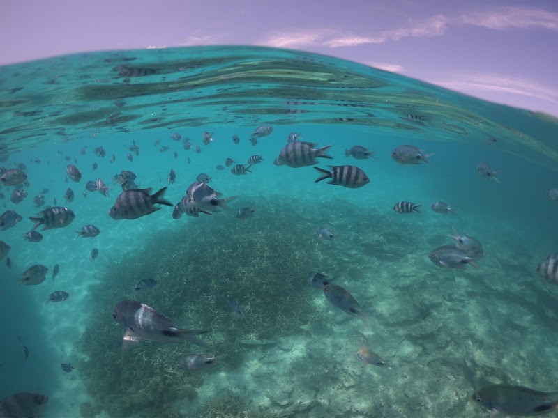 Blue Bay Marine Park - Blue Bay Marine Park, Blue Bay, Mauritius
