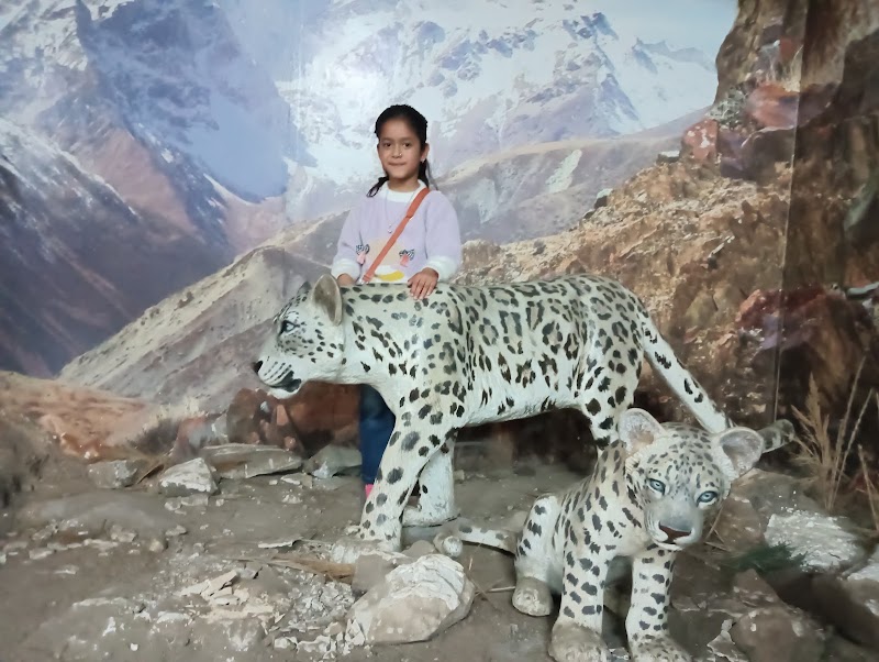 Great Himalayan National Park-Tirthan Hilltop Adventure - Great Himalayan National Park-Tirthan Hilltop Adventure, Tirthan Valley, Gushaini, Pekhri, Himachal Pradesh 175123, India