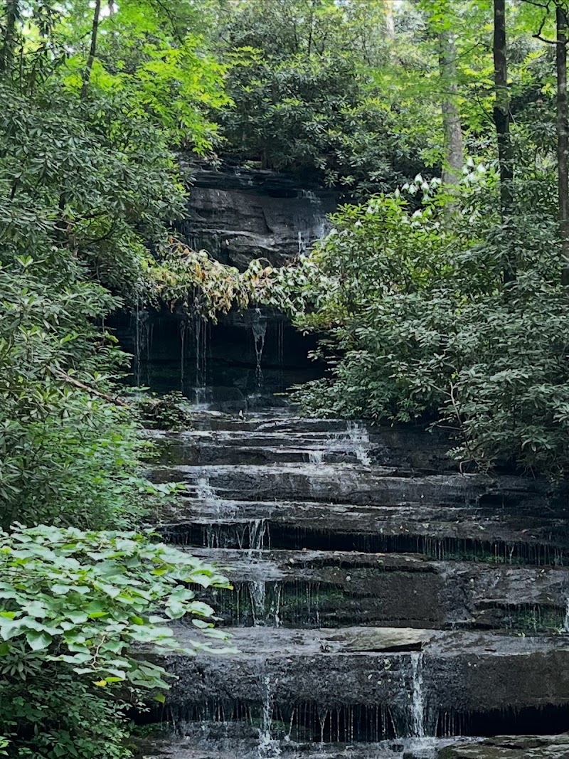 The Pavilion Restaurant & Corner Bar - The Pavilion Restaurant & Corner Bar 151 Everett Rd, Pisgah Forest, NC 28768, USA