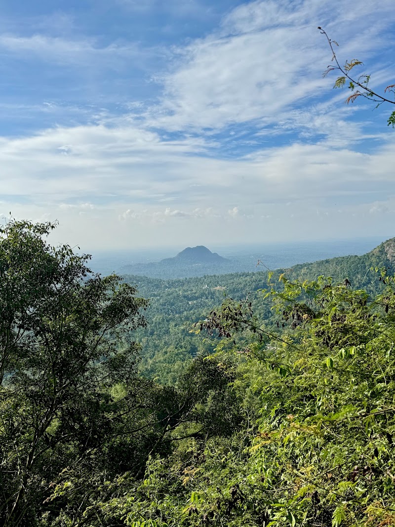 Edakkal Caves - Edakkal Caves Nenmeni, Kerala 673593, India