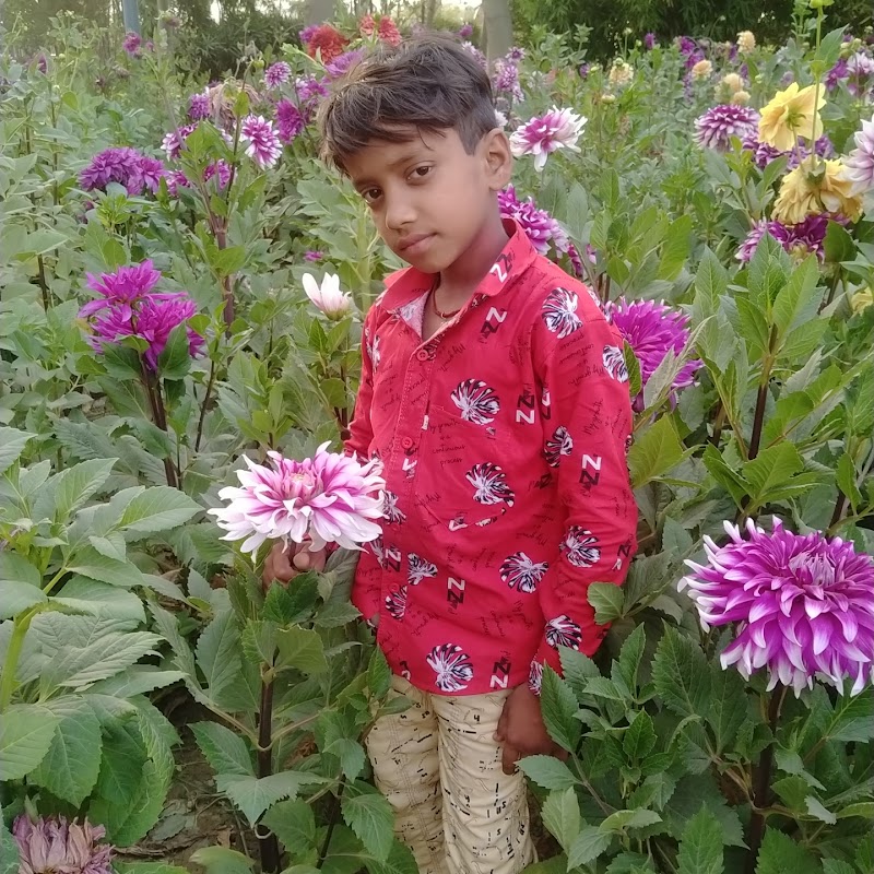 Gurjar Samrat Mihir Bhoj Park - Gurjar Samrat Mihir Bhoj Park FGFC+G77, Alpha-II Commercial Belt, Block B, Nawada, Greater Noida, Uttar Pradesh 201315, India