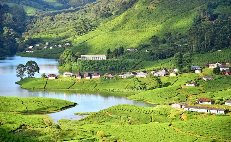 Munnar Tourist Places - Munnar Tourist Places Factory Division, Pallivasal, Estate, Munnar, Pallivasal, Kerala 685565, India