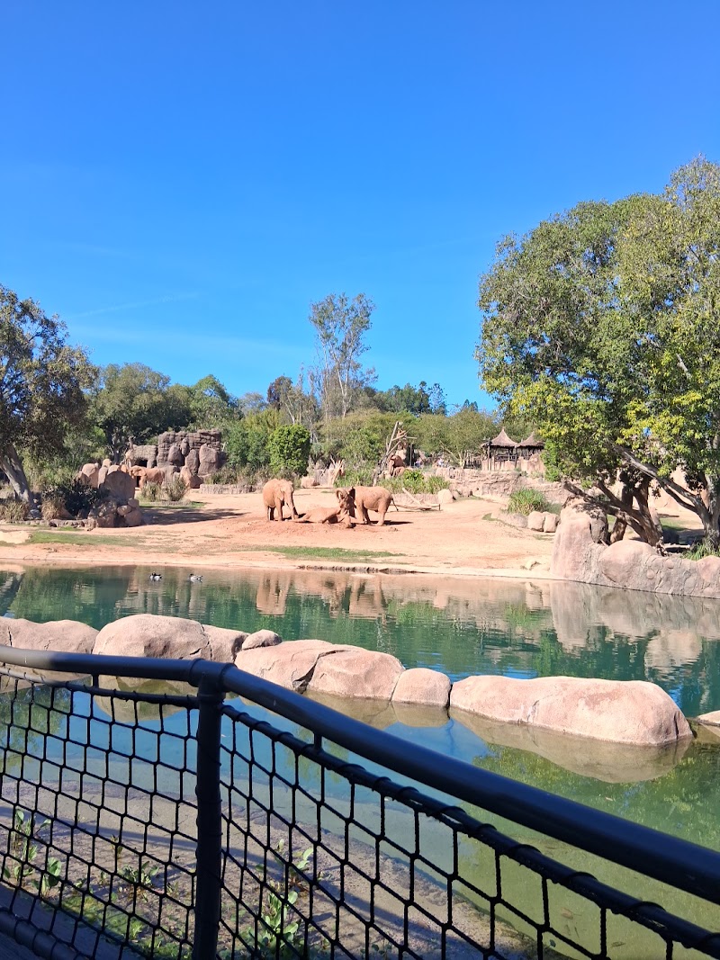 Elephant Valley - Elephant Valley San Diego Zoo Safari Park, 15500 San Pasqual Valley Rd, Escondido, CA 92027, USA