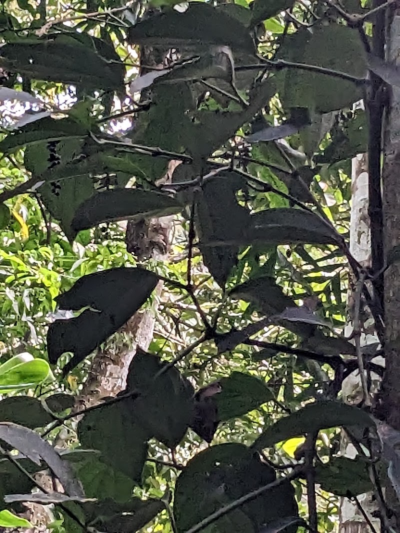 GreenValley Ayurvedic & Spice Garden - GreenValley Ayurvedic & Spice Garden Kottayam - Kumily Rd, Kumily, Periyar, Kerala 685509, India