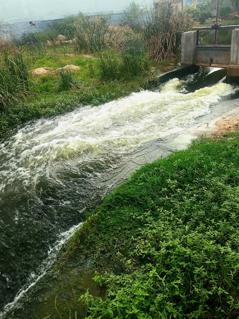 Narsapur Lake - Narsapur Lake, Vemagal-Kurugal, Karnataka