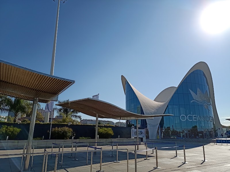 Oceanogràfic València - Oceanogràfic València, C/ d'Eduardo Primo Yúfera, 1, Quatre Carreres, 46013 València, Valencia, Spain