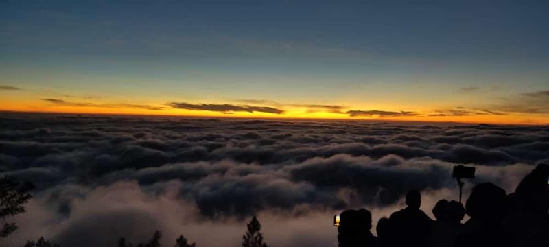 Munnar Expeditions