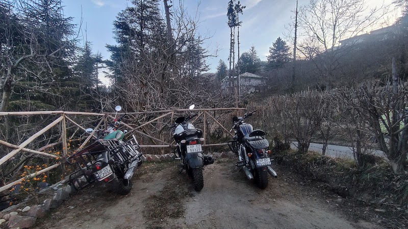 Pine Wood Homestay - Pine Wood Homestay 8F2J+WM7, Kotgarh Hospital Rd, Kotgarh, Himachal Pradesh 172031, India