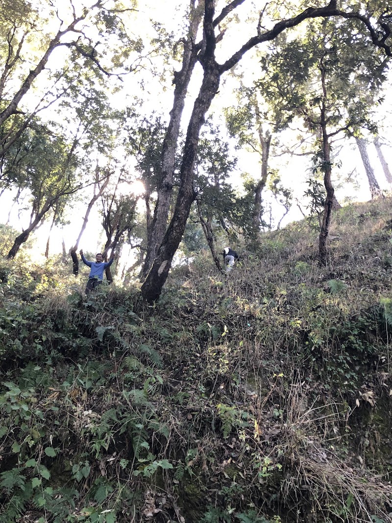 Bhowali Forest Rest House - Bhowali Forest Rest House, 9GQ6+787, Nainital - Bhowali Rd, Bhawanipur, Sukha, Uttarakhand 263132, India