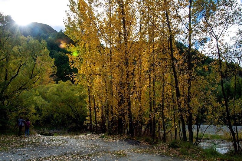 Arrow River - Arrow River, Otago Region, New Zealand