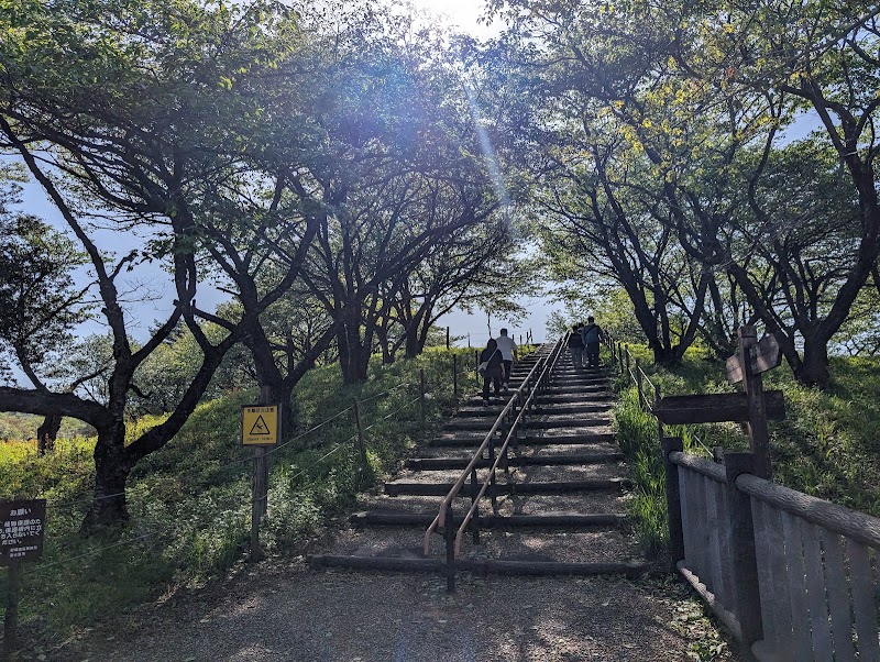 Mt. Fuji viewpoint - Mt. Fuji viewpoint 492 Nebara, Fujinomiya, Shizuoka 418-0101, Japan