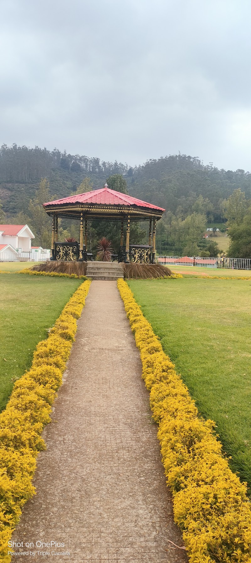 Tea Park - Tea Park CP6P+W93, Battarkambai, Tamil Nadu 643002, India