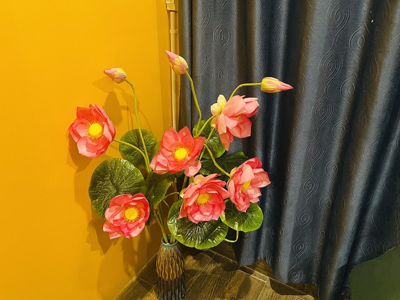 Autumn Hanoi House 61 Bat Su - Autumn Hanoi House 61 Bat Su 61 P. Bát Sứ, Phố cổ Hà Nội, Hoàn Kiếm, Hà Nội 100000, Vietnam