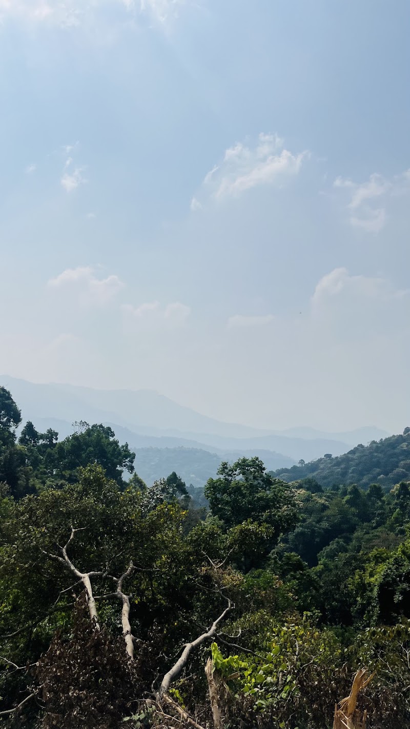 Charmadi Ghat, Dakshina Kannada - Charmadi Ghat, Dakshina Kannada, 3FH8+FP4, Charmady, Karnataka 574228, India