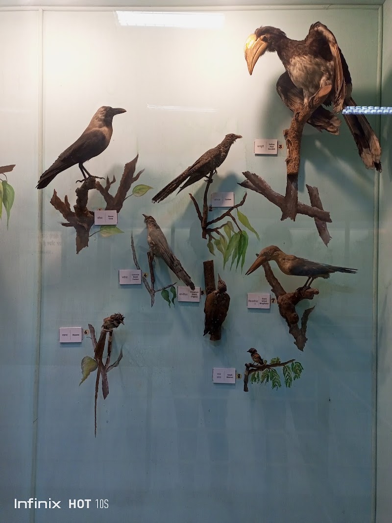 prayagraj Museum - prayagraj Museum Museum, Kamla Nehru Rd, Civil Lines, Prayagraj, Uttar Pradesh 211002, India