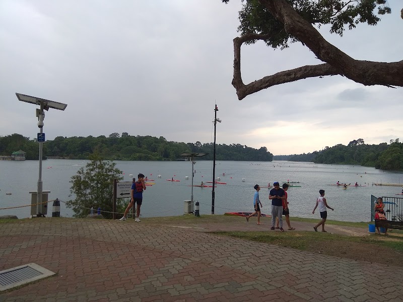 MacRitchie Reservoir - MacRitchie Reservoir, Singapore