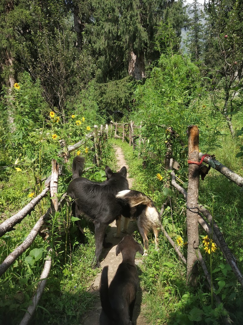 Gypsy House & Cafe - Gypsy House & Cafe Gypsy House Cafe, Parvathi Valley, Kalgha, Sosan, Himachal Pradesh 175105, India