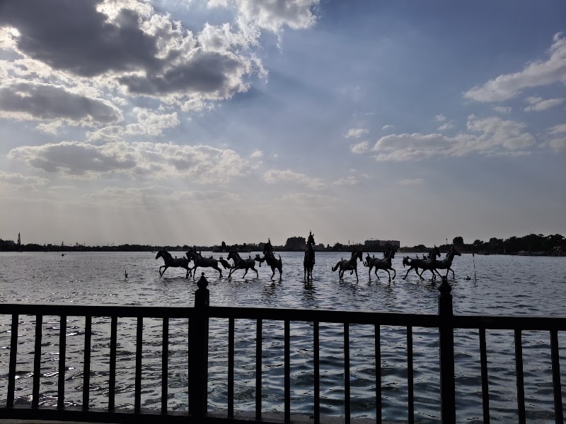 Horses place - Horses place Rajendra Vihar, Gaytri Vihar, Kota, Rajasthan 324007, India