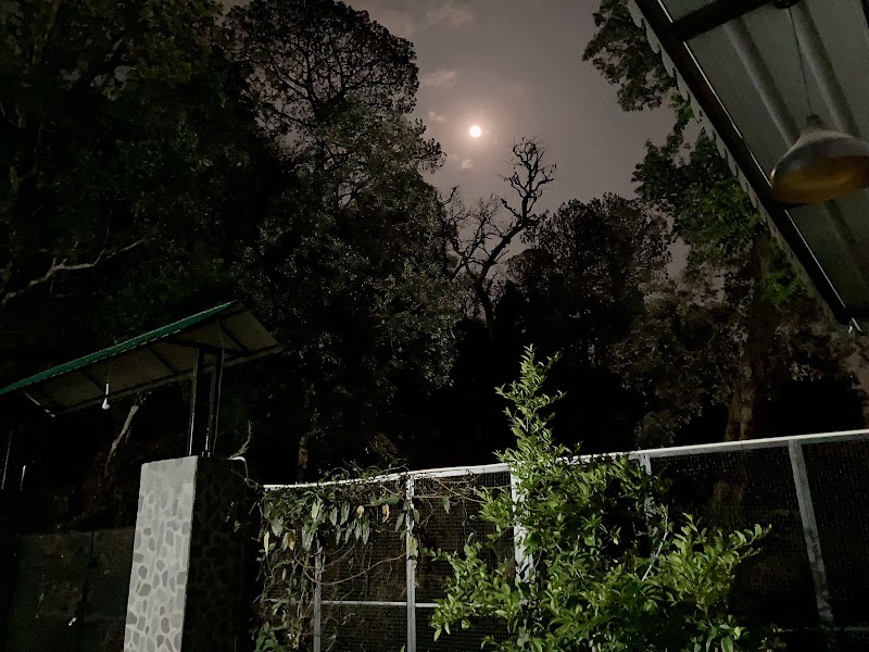 Sattal Valley Resort - Sattal Valley Resort Suriyagaon, Sattal, Uttarakhand 263136, India