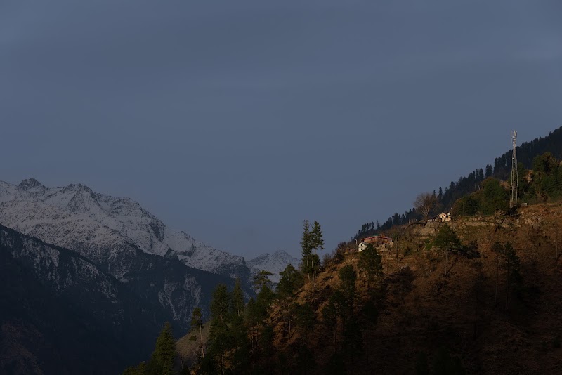 The Social Stays Tirthan - The Social Stays Tirthan, Gushaini, Himachal Pradesh, India, 175123 Gurshaini, Sharchi, Himachal Pradesh 175123, India