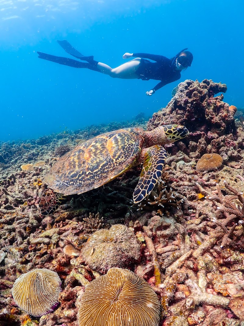 Aow June Juea - Aow June Juea Ko Tao, Ko Pha-ngan District, Surat Thani 84280, Thailand