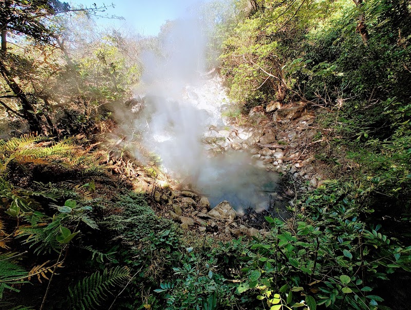 Rincón de la Vieja Volcano - Rincón de la Vieja Volcano, Alajuela Province, Upala, Costa Rica