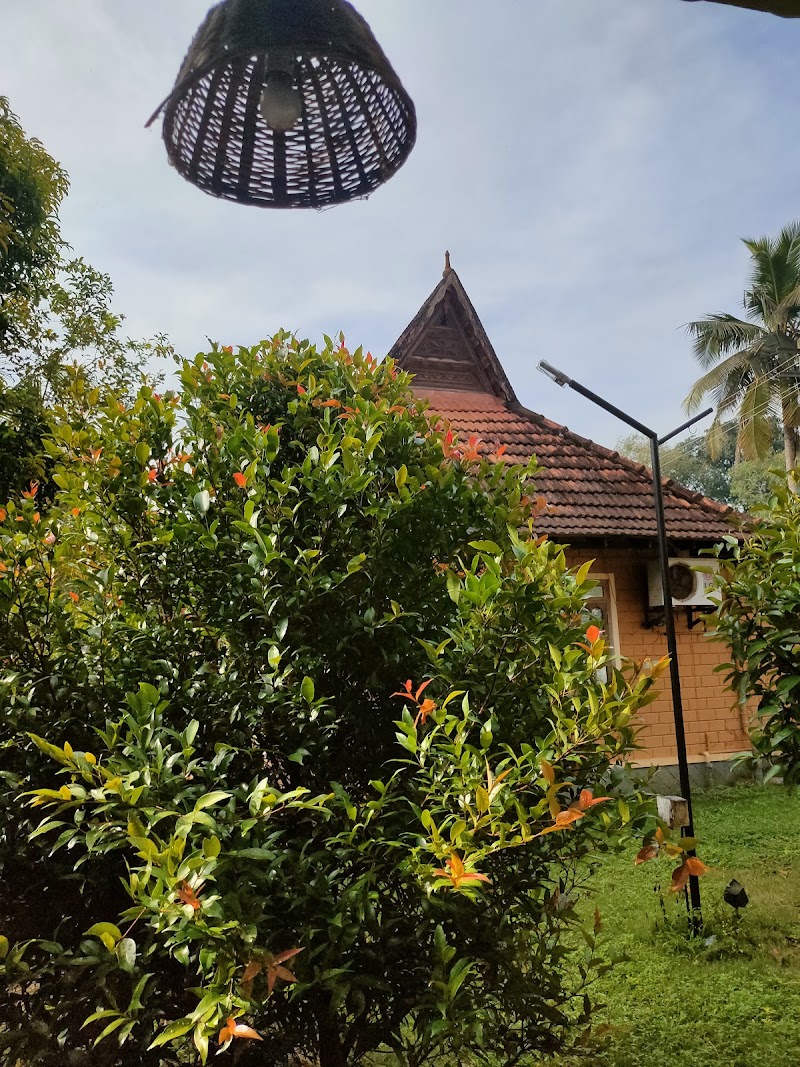 Dazzle Dew Memories - Dazzle Dew Memories, Thathampally, Alappuzha, Aryad South, Keralam 688013, India