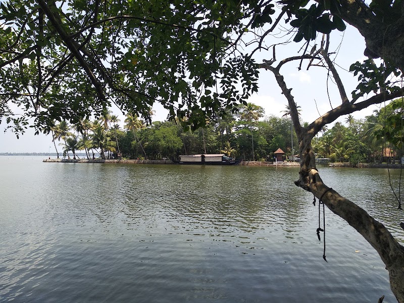 Kumarakom Bird Sanctuary - Kumarakom Bird Sanctuary, Kavanattinkara, Kumarakom, Kerala 686563, India