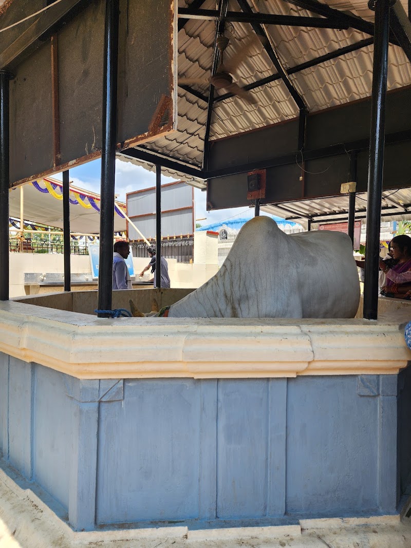 Goshala, Sri Swayambhu Varasidhi Vinayaka Swamy Devastanam, Kanipakam - Goshala, Sri Swayambhu Varasidhi Vinayaka Swamy Devastanam, Kanipakam, Goshala, Kanipakam, Andhra Pradesh 517131, India