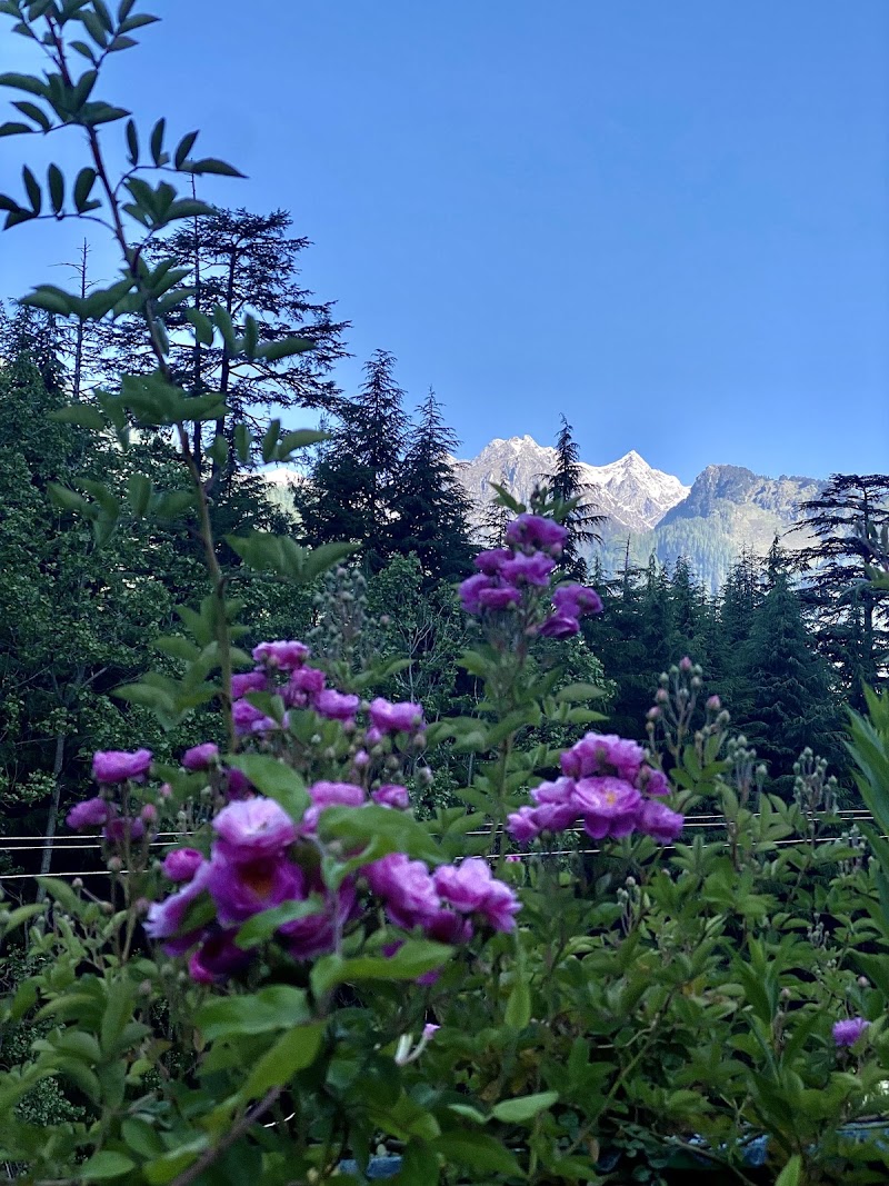 Himalayan Retreat - Himalayan Retreat Atal Bihari Vajpai Institute Rd, Aleo, Manali, Himachal Pradesh 175131, India