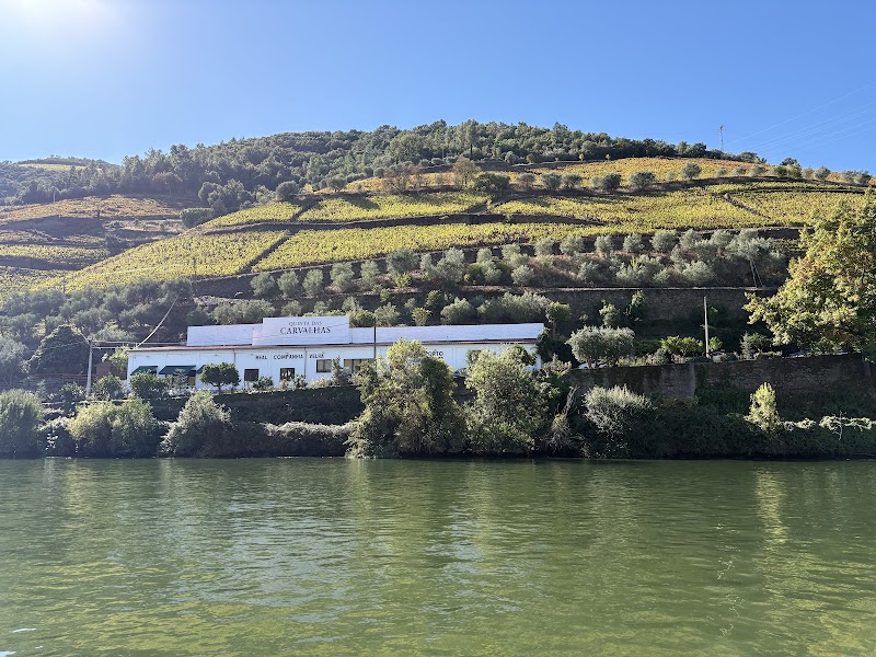 EFun Tours - Porto & Douro Tours - EFun Tours - Porto & Douro Tours, Rua da África, Armazém 223, 4400-002 Vila Nova de Gaia, Portugal