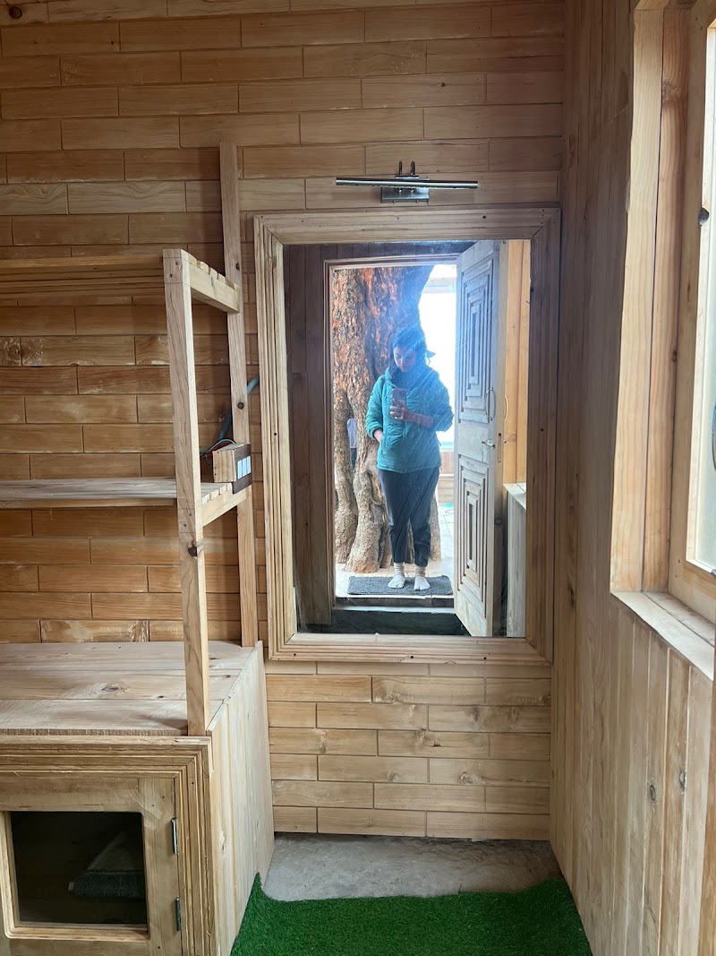 Cloud Walk Treehouse (Jibhi | Tandi) - Cloud Walk Treehouse (Jibhi | Tandi) Cloudwalk Treehouse, Vill Bhua, P.O, Tandi, Jibhi, Himachal Pradesh 175123, India