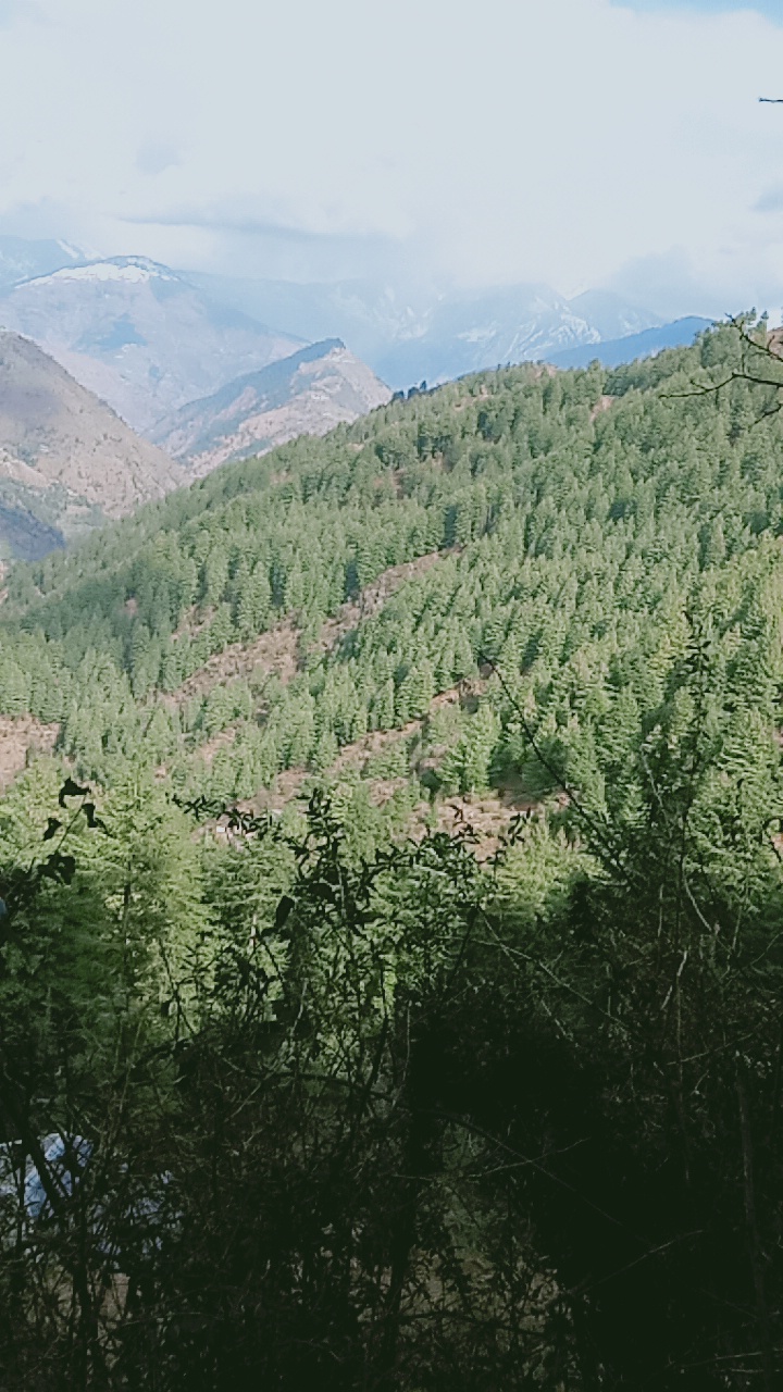 J & K S.R.T.C - J & K S.R.T.C PV4G+5C7, Trikuta Nagar, Jammu, 180012