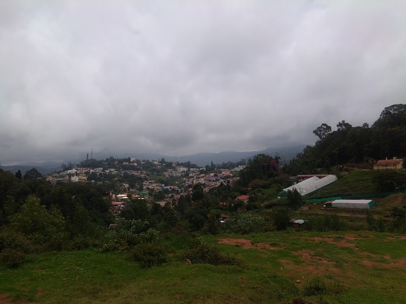 Daffodil Cottages and Resorts - Daffodil Cottages and Resorts 8RX4+WJ7, Alwarpet, Coonoor, Tamil Nadu 643101, India