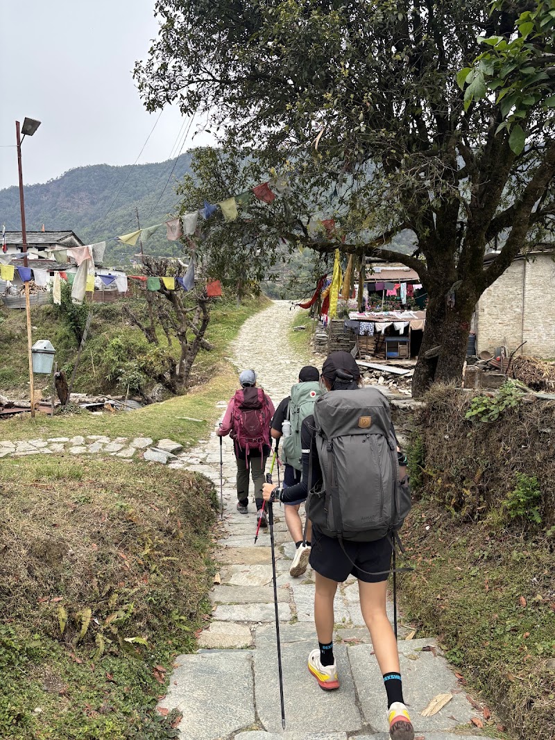 Kande / khare Australian Camp Hike Start Point - Kande / khare Australian Camp Hike Start Point 7RRF+WM7, Paudurkot 33700, Nepal