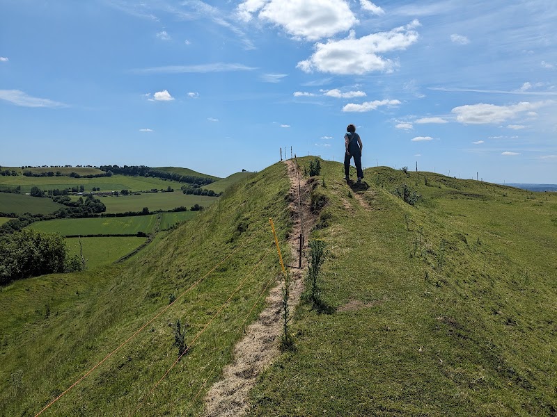 Cadbury Castle - Cadbury Castle South Cadbury, Yeovil BA22 7HA, UK