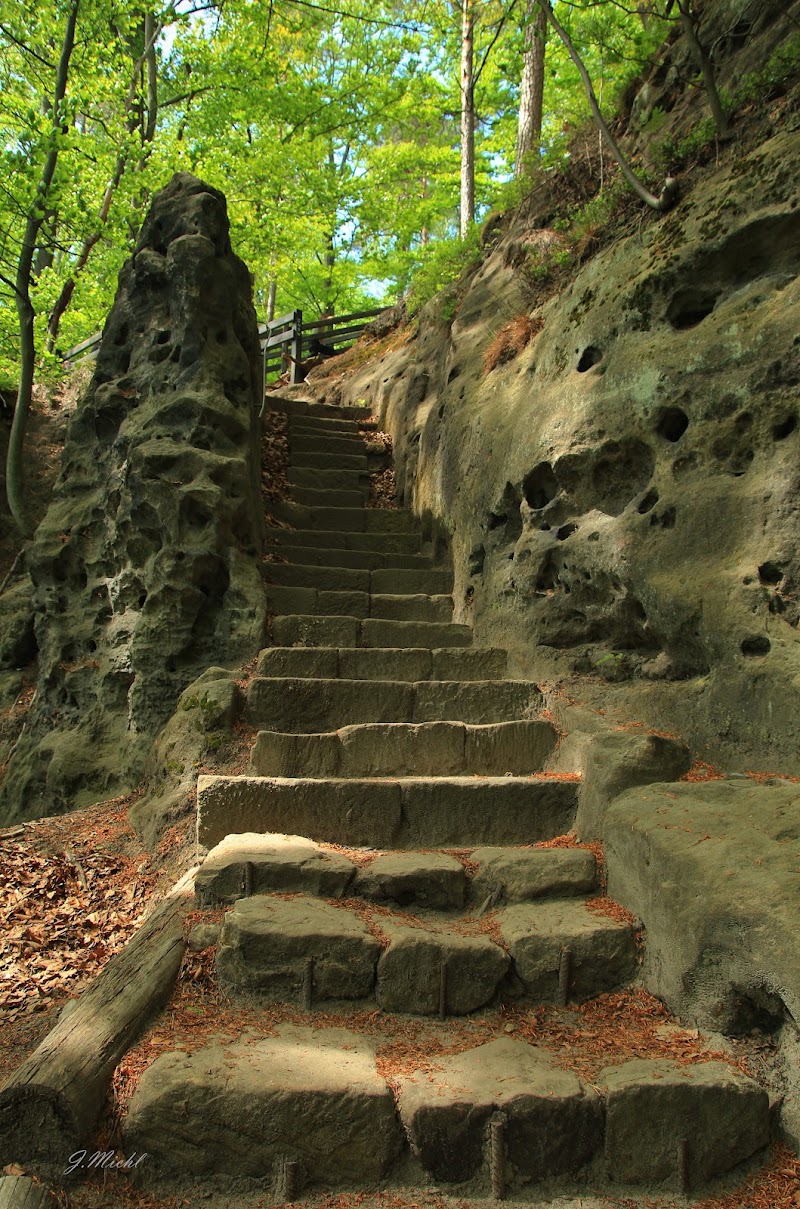 Lynx' Path / Gabriela's Trail - Lynx' Path / Gabriela's Trail 405 02 Hřensko-Děčín 2, Czechia