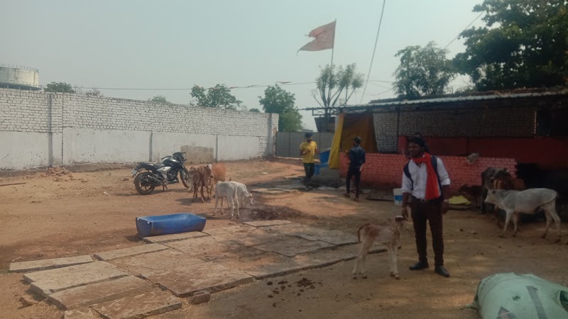 Shree Krishn Gau Seva Dham Kusmunda विश्व हिंदू परिषद बजरंग दल - Shree Krishn Gau Seva Dham Kusmunda विश्व हिंदू परिषद बजरंग दल, Adarsh Nagar, Mangaw, Chhattisgarh 495454, India