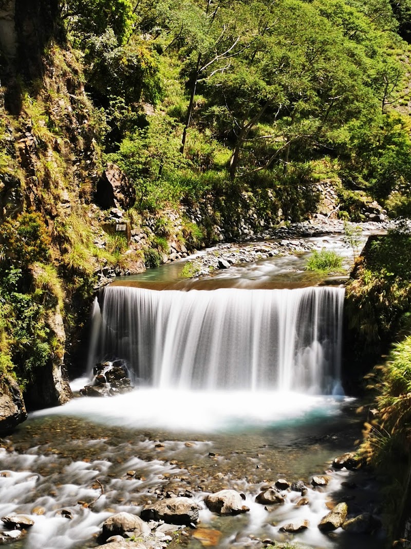 Basianshan National Forest Recreation Area - Basianshan National Forest Recreation Area, No. 200之8號, Section 1, Dongguan Rd, Bo'ai Village, Heping District, Taichung City, Taiwan 424
