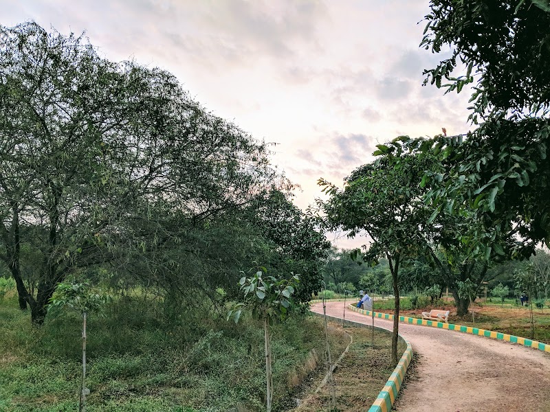 Hennuru kere Bio-diversity Park - Hennuru kere Bio-diversity Park Kumarakrupa Rd, HBR Layout 5th Block, High Grounds, Seshadripuram, Bengaluru, Karnataka 560043, India