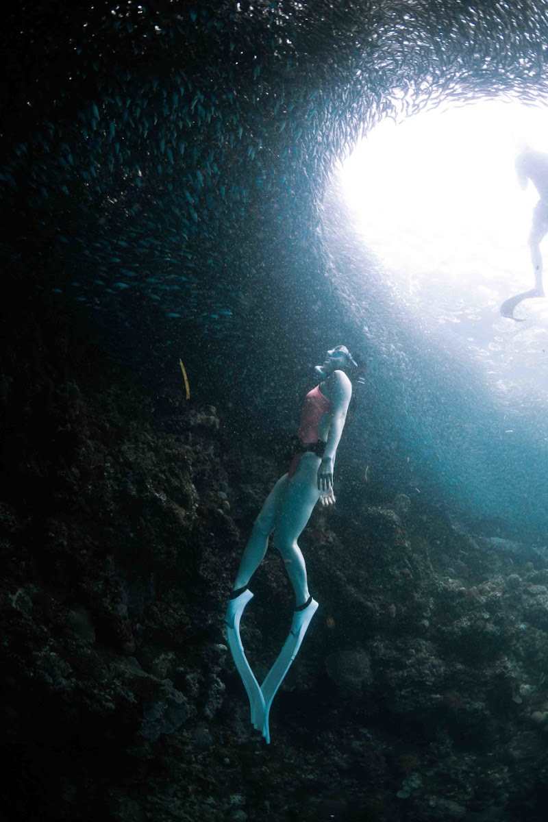 Freediving in Panglao, Bohol | Blue Freedom - Freediving in Panglao, Bohol | Blue Freedom, Relax Divers Resort Purok 5B, Tangnan, Panglao, 6339 Bohol, Philippines