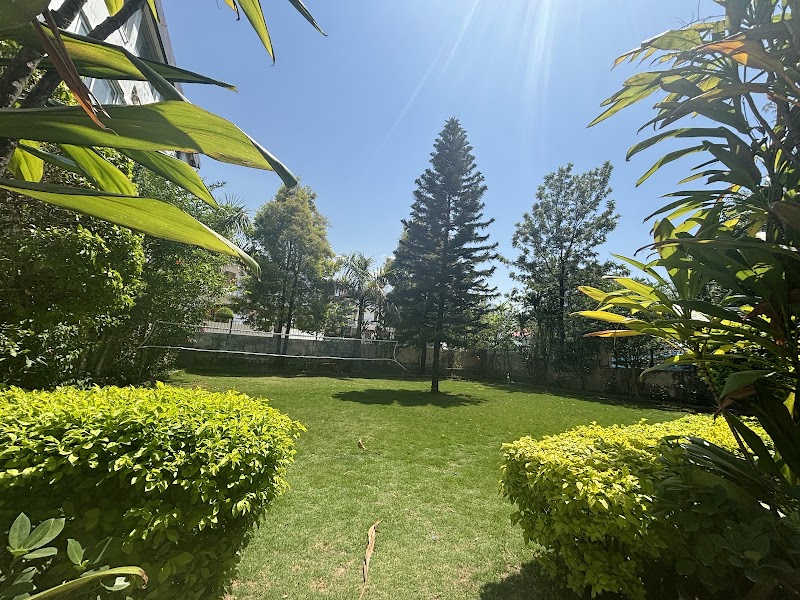Hotel Golden Dreams - Hotel Golden Dreams, Palampur - Dharamshala Road, Sheela Chowk Dari, Fatehpur, Dari, Dharamshala, Hodal, Himachal Pradesh 176215, India