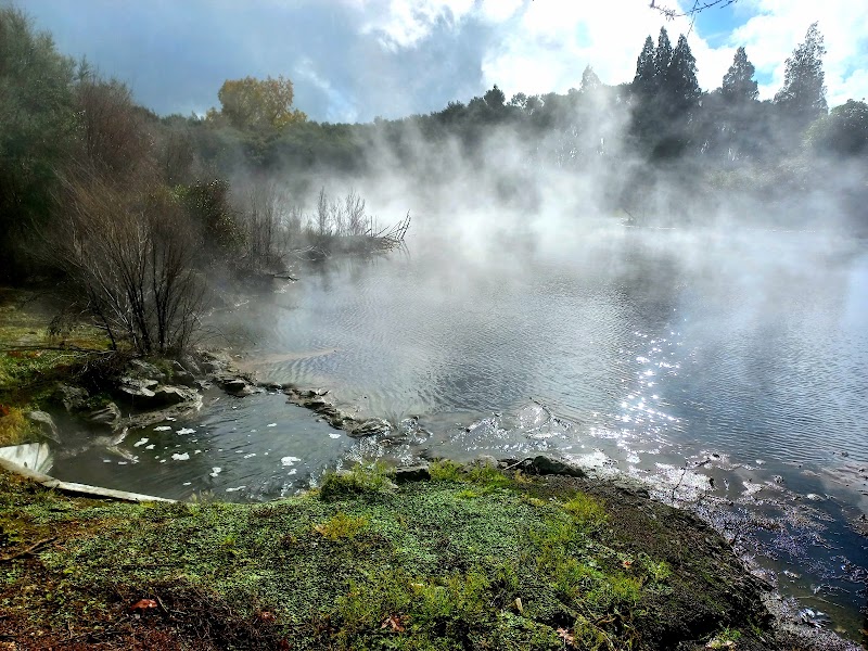 Kuirau Park - Kuirau Park 1371, Pukuatua Street, Ranolf Street, Rotorua 3010, New Zealand