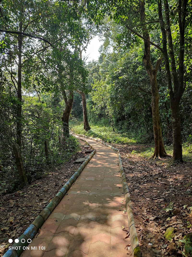 Bisile Ghat View Point - Bisile Ghat View Point PM6V+9P2, Bisle Ghat Rd, Arini, Karnataka 573123, India