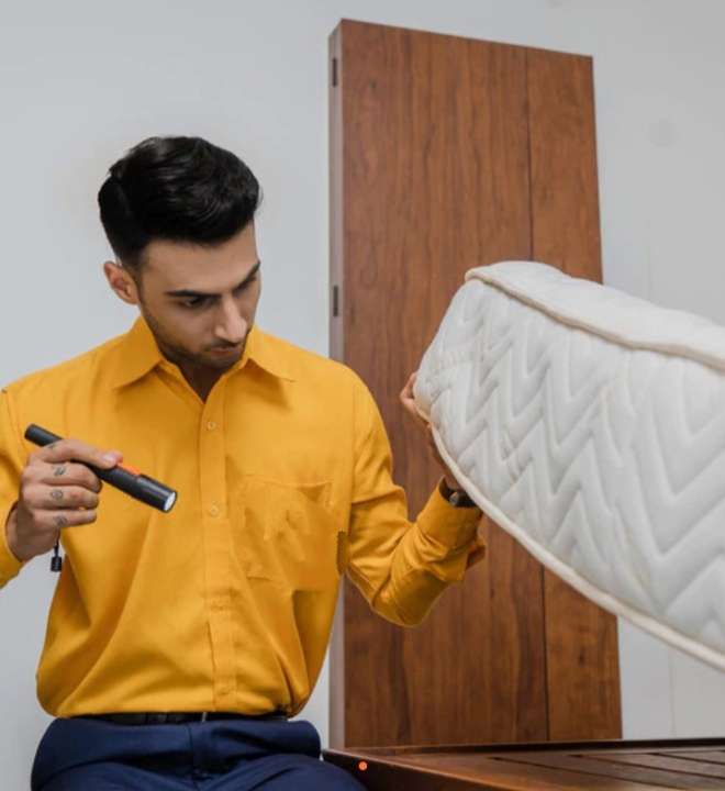 Bed bug control services - Bed bug control services, 329/9, 1st Main Rd, Chandra Reddy Layout, Teachers Colony, Koramangala, Bengaluru, Karnataka 560102, India