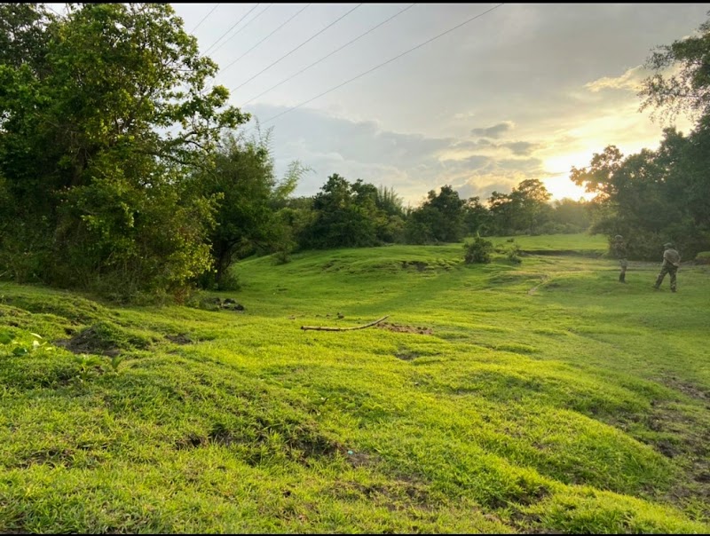 River Valley Resort - River Valley Resort Singara Rd, Masinagudi, Tamil Nadu 643223, India