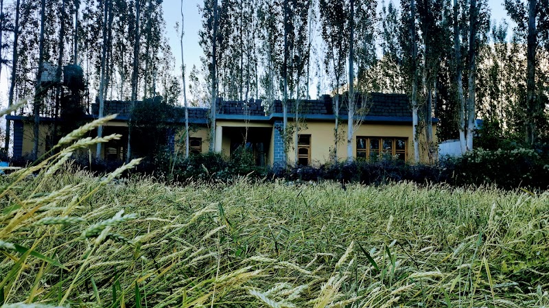 Feroz homestay - Feroz homestay, Near manay kir kir hunder nubra, Hunder, 194401