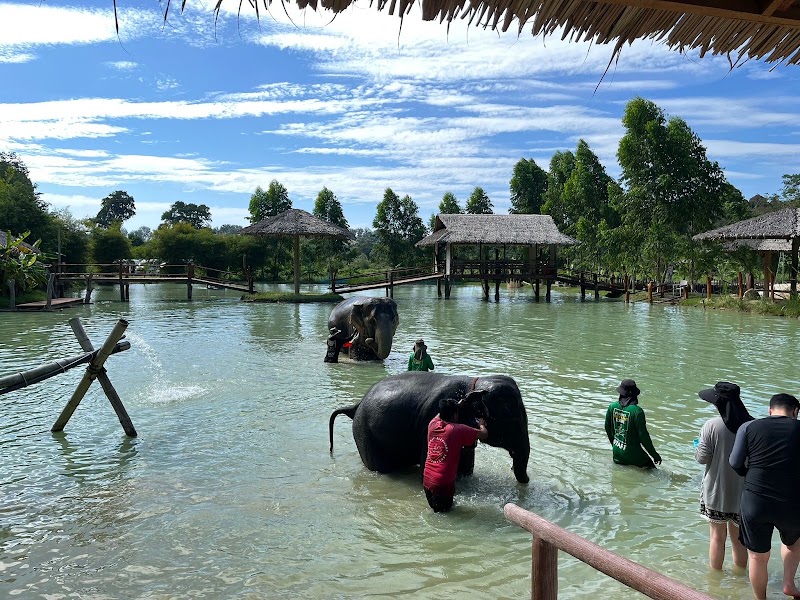 Phuket Elephant care Sanctuary - Phuket Elephant care Sanctuary 3 หาดในทอน 5, Tambon Sa Khu, Amphoe Thalang, Chang Wat Phuket 83110, Thailand