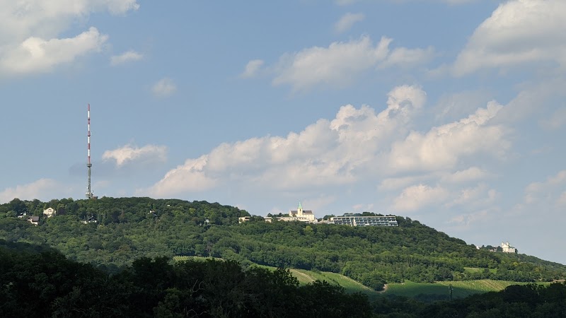 Cobenzl Aussicht - Cobenzl Aussicht Am Cobenzl 94, 1190 Wien, Austria