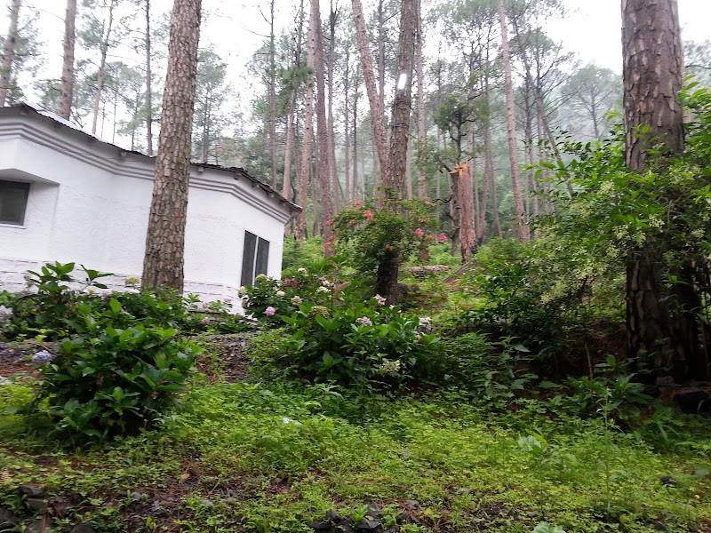 KMVN Tourist Rest House Sattal - KMVN Tourist Rest House Sattal 8GXH+9PP, Suriyagaon Rd, Sattal, Bhowali Range, Uttarakhand 263127, India